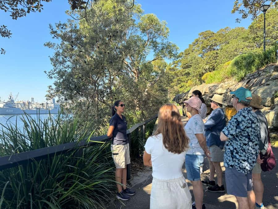 1/2 day Sydney Sightseeing and Bondi Beach Tour - The Rocks finish point at 3 Cumberland St: a convenient endgame