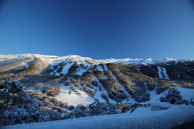 1 Day Thredbo Snow Tour - Food, drinks, and staying warm without blowing the day