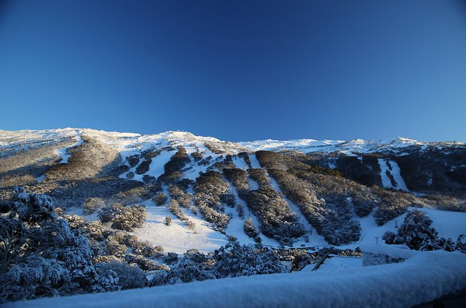 1 Day Thredbo Snow Tour - Value check: is $121.21 a good deal for a one-day Thredbo trip?