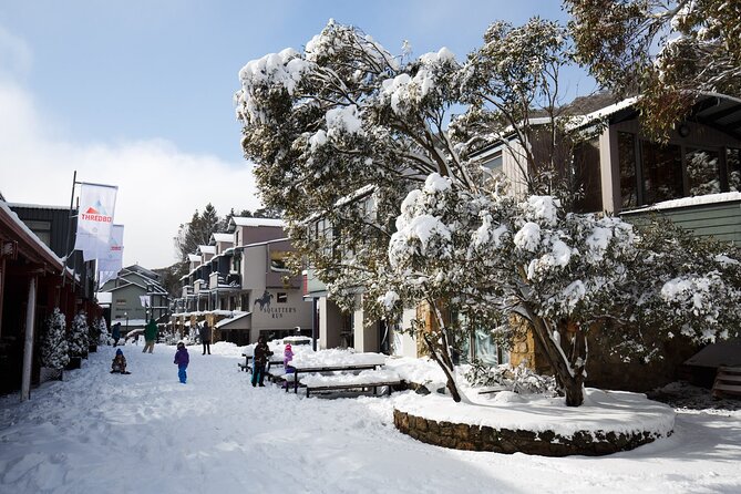 1 Day Thredbo Snow Tour From Sydney - Thredbo timing back to Sydney: the 3 pm departure and the 40-minute dinner stop