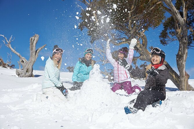 1 Day Thredbo Snow Tour From Sydney - Who this Thredbo snow tour fits best (and who should think twice)