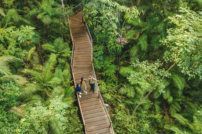 14 Day Tour from Sydney to Cairns Fraser Island and Whitsundays - K’gari (Fraser Island) 4WD: the sand, the stories, and the payoff