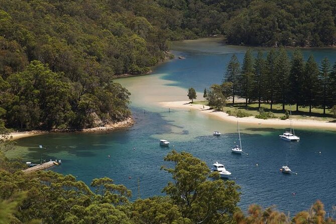 2 1/2 Hr Private Skippered Yacht Charter and Platter on Pittwater - Lunch platter on board: what you get and why it works
