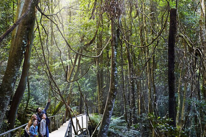 3 Day Private Tour in Blue Mountains and Kiama in Sydney City - Blue Mountains Day 2: Three Sisters, Wentworth Falls, and the Scenic World Decision