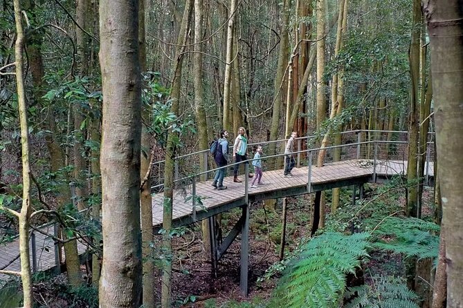 3 Day Private Tour in Blue Mountains and Kiama in Sydney City - Day 3 Kiama and the South Coast: Sea Cliff Bridge, Bald Hill, Blowhole Power, and Waterfall Country
