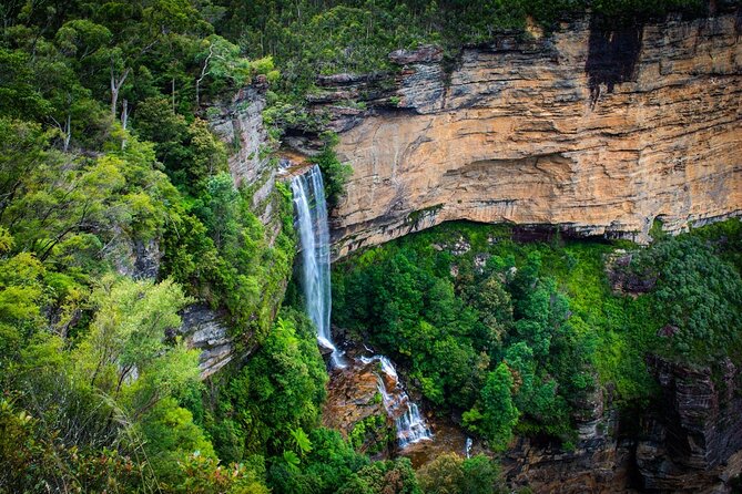 3 Day Scenic Tour of Blue Mountains from Sydney - Day 1: koalas, waterfalls, and the Katoomba Night-Lit Walk
