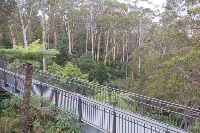3 Day Scenic Tour of Blue Mountains from Sydney - Day 3: Govetts Leap, the Zig Zag Railway, and Hartley Village