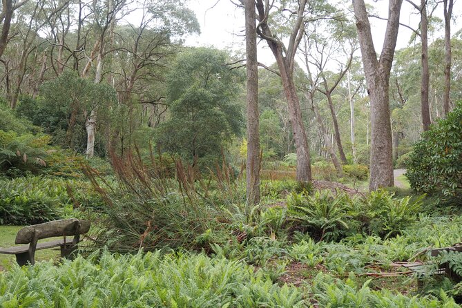3 Day Scenic Tour of Blue Mountains from Sydney - Why the tour feels more personal with guide Jamie