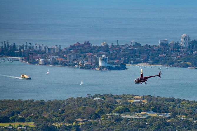 30-Minute Sydney Harbour and Olympic Park Helicopter Tour - Key Things I’d Prioritize Before You Go