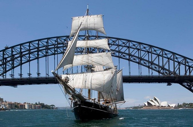 Australia Day Tall Ships Lunch & Race on Sydney Harbour - What makes an Australia Day tall ship cruise feel special