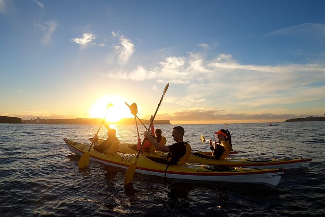 Beautiful Middle Harbour Sunriser / Guided Kayaking Private Tour - Key things to know before you paddle