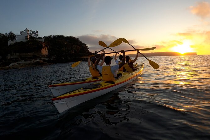 Beautiful Middle Harbour Sunriser / Guided Kayaking Private Tour - Why a Middle Harbour Sunrise beats a morning cruise