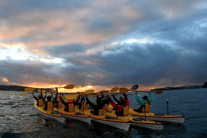 Beautiful Middle Harbour Sunriser / Guided Kayaking Private Tour - What’s included (and how it affects value)