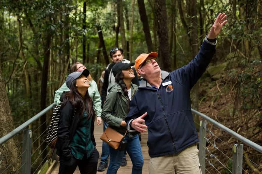 Blue Mountain Small Group Scenic World, Wildlife, Waterfall - Key Things That Make This Tour Work
