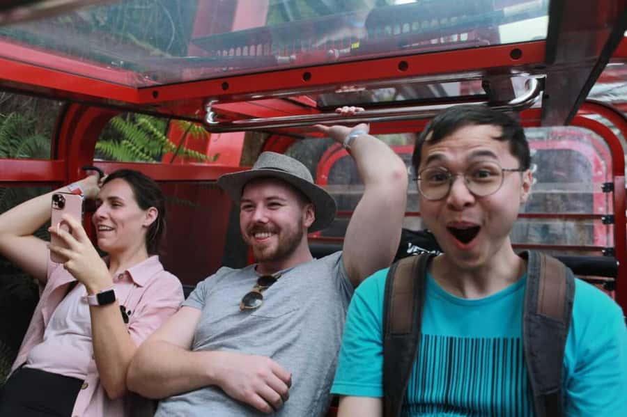 Blue Mountain Tour + Hop-on-Hop-off Big Bus Discover Ticket - Key things to know before you go