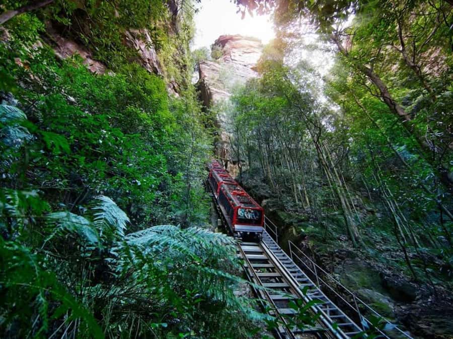 Blue Mountain Tour + Hop-on-Hop-off Big Bus Discover Ticket - Sydney Zoo and the Koala Trail: what you’ll actually get done