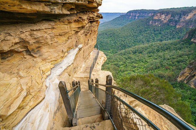 Blue Mountain Tour with Hop on and Hop Off Bus - A day tour that actually gives you two kinds of sightseeing