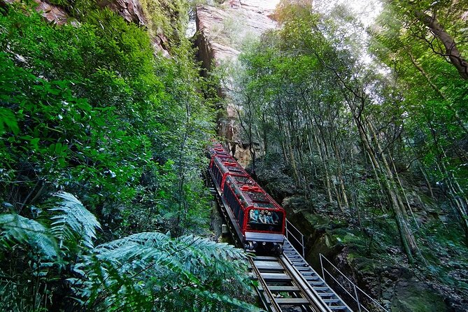 Blue Mountain Tour with Hop on and Hop Off Bus - Blue Mountains time: Echo Point, Three Sisters, and Leura Village