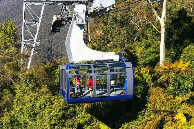 Blue Mountain Tour with Hop on and Hop Off Bus - 24-hour Big Bus hop-on hop-off: how to make it work after the mountains