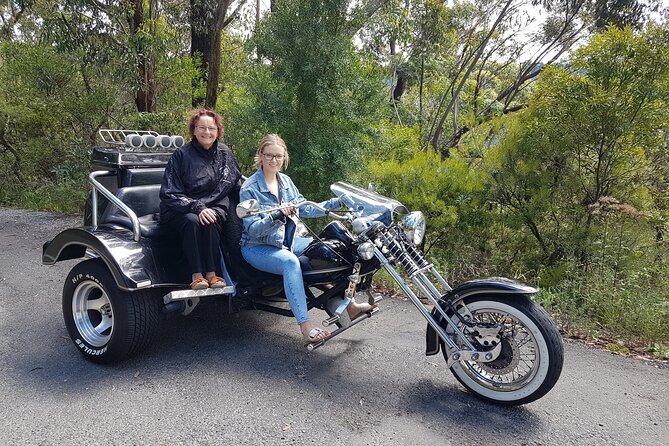 Blue Mountains 1-Hour Trike Tour of Three Sisters - Price and value: what $116.42 buys you (and why it can be worth it)