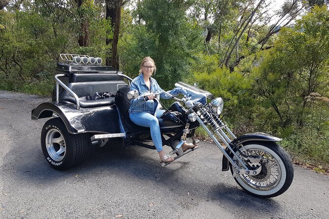 Blue Mountains 1-Hour Trike Tour of Three Sisters - Who this Blue Mountains trike tour suits best