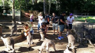 Blue Mountains: Aboriginal Experience Day Tour from Sydney - Pickup, ride time, and the “use your time” plan
