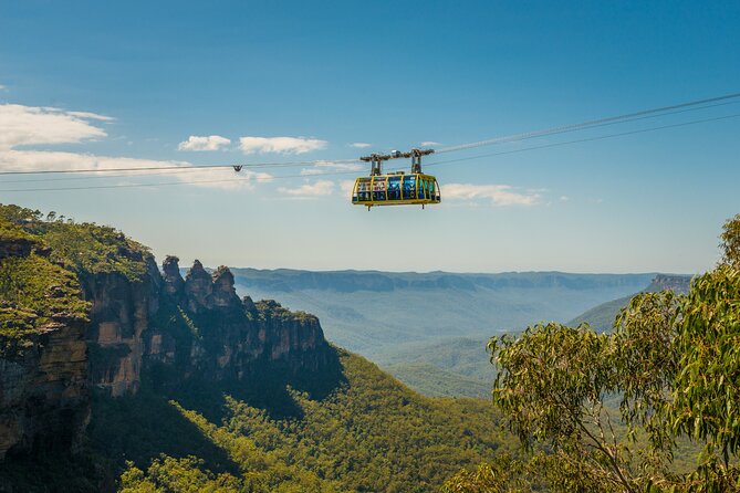 Blue Mountains Adventure w Scenic World, Zoo, Koala Photo & Ferry - Sydney Zoo: kangaroo feeding, koala digital photo, and heat planning