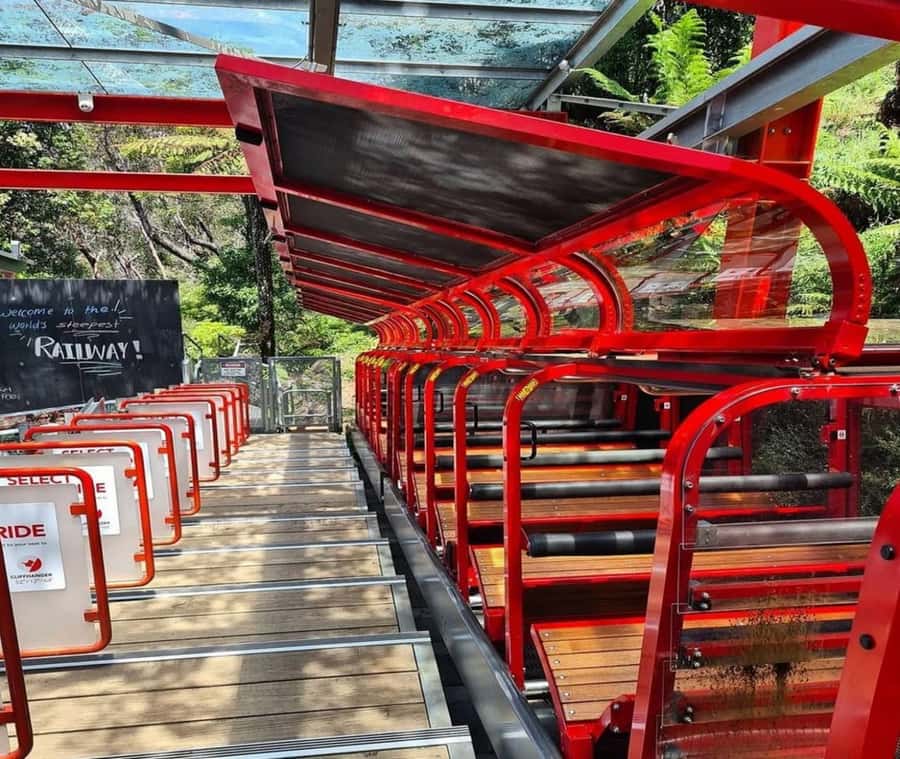 Blue Mountains Adventure: Wild Boar Rock & Cable Car - Quick hits: why this Blue Mountains tour feels worth it