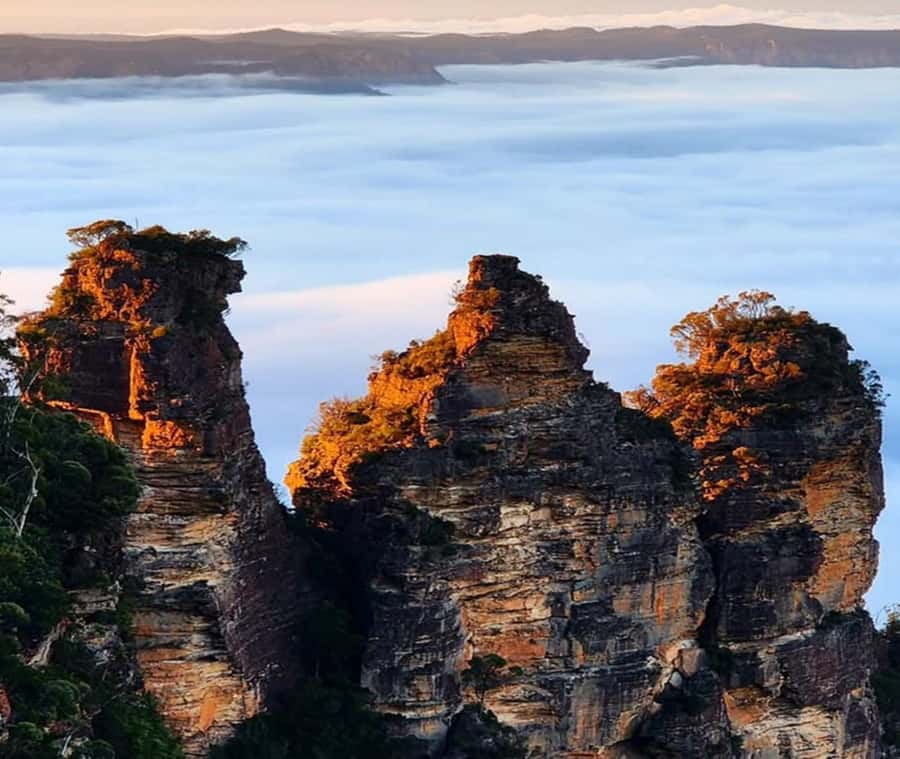 Blue Mountains Adventure: Wild Boar Rock & Cable Car - Return options in the evening: ferry past the Opera House (extra) or straight back
