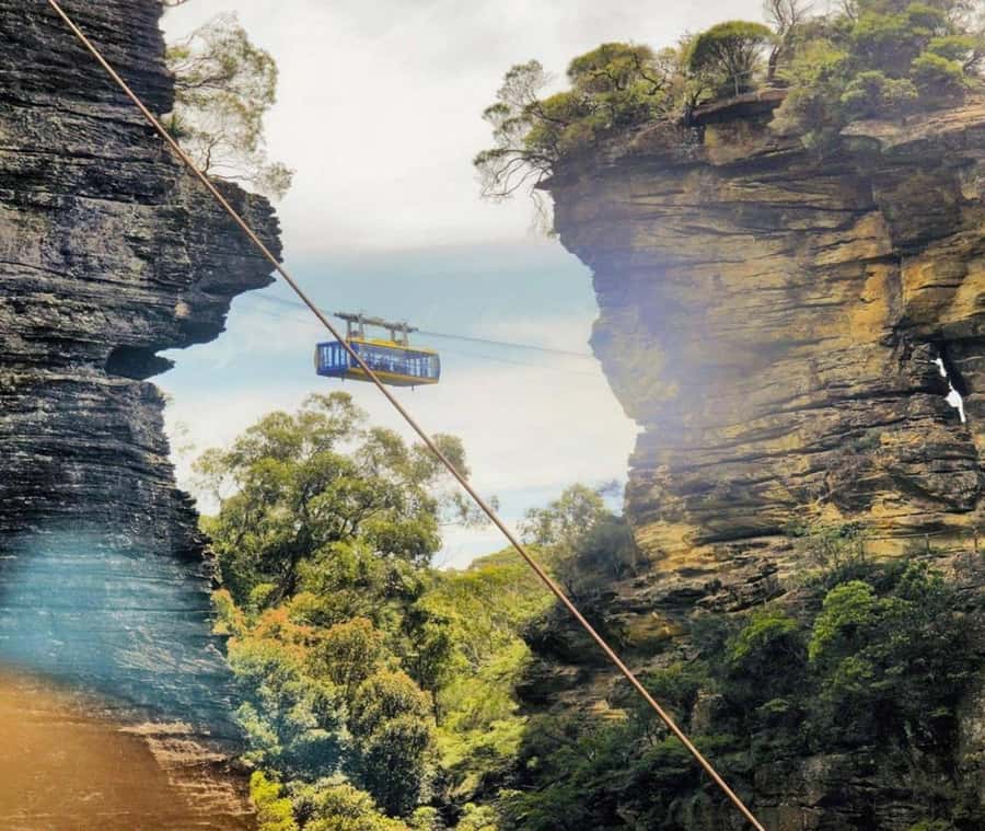 Blue Mountains Adventure: Wild Boar Rock & Cable Car - Price and value: what you’re really paying for at $108