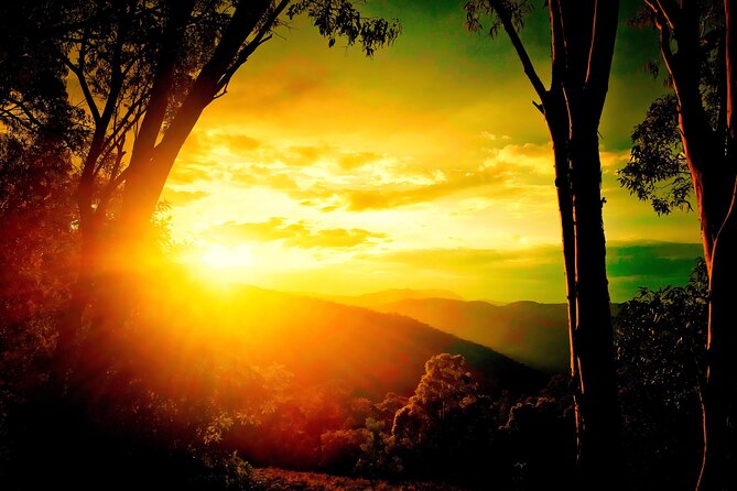 Blue Mountains Day, Sunset Tour & Glow Worms Night Adventure - Key highlights at a glance