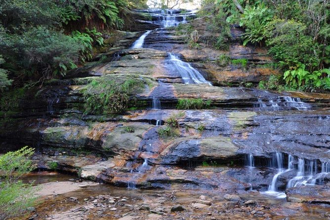 Blue Mountains Day Tour :Wildlife, Waterfall Walk & Three Sisters - Who This Tour Suits (and Who Should Skip the Waterfall Bit)