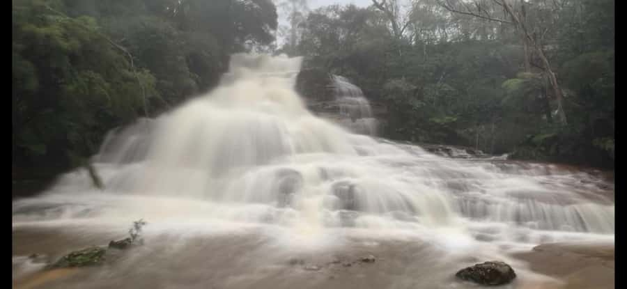 Blue Mountains day tour with Cruise, Scenic world pass & Zoo - Sydney Zoo stop: early animal time and what you might pay extra for