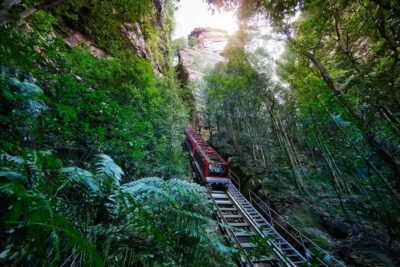 Blue Mountains day tour with Cruise, Scenic world pass & Zoo - Getting started from central Sydney: pickup and pacing