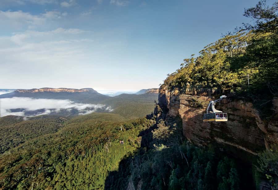 Blue Mountains day tour with Cruise, Scenic world pass & Zoo - Price and value: is $134 actually a good deal?