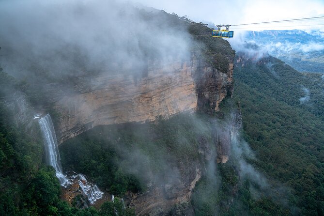 Blue Mountains Day Tour with Scenic World and Wildlife Park Entry - Price and value: what $119.06 gets you (and what it doesn’t)