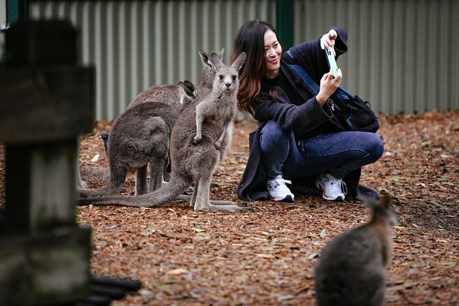 Blue Mountains Day Tour with Scenic World and Wildlife Park Entry - Optional Parramatta River cruise: a gentler Sydney finish