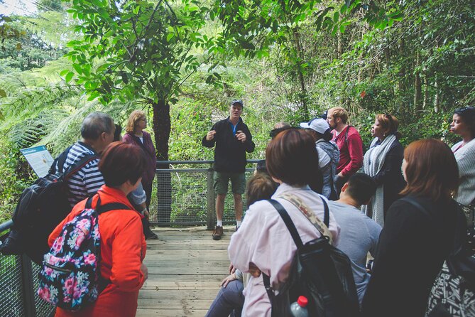 Blue Mountains Day Tour with Wildlife, Walks and Scenic World - Featherdale Wildlife Park: close encounters, plus a reality check
