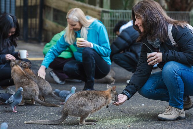 Blue Mountains Day Tour with Wildlife, Walks and Scenic World - The guide factor: flexibility, better viewpoints, and fun facts