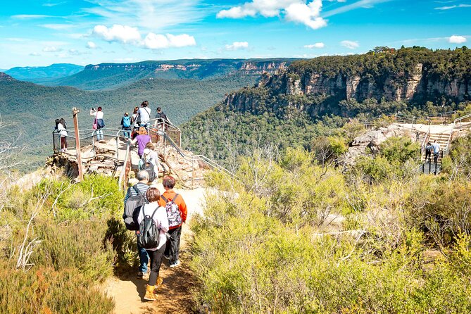 Blue Mountains Day Tour with Wildlife, Walks and Scenic World - Price and logistics: what $181 really buys (and what it doesn’t)