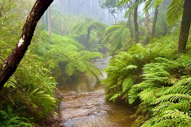 Blue Mountains Day Tours W Scenic World and Lunch - A 10-Hour Blue Mountains Checklist, Starting at 8:30