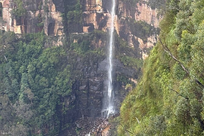 Blue Mountains Day Tours W Scenic World and Lunch - Scenic World Tickets: Railway, Skyway, Cableway, and Rainforest Walk