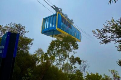 Blue Mountains Day Tours W Scenic World and Lunch - Luxury Mercedes Pickup, But Read the Fine Print on Privacy