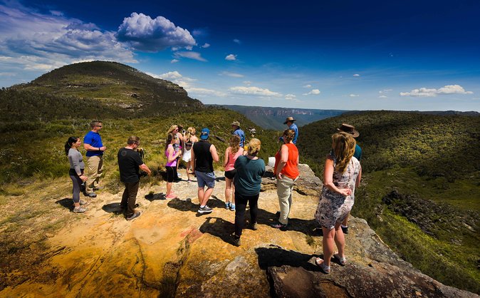 Blue Mountains Deluxe Small-Group Eco Wildlife Tour from Sydney - Group size and vehicle: why it matters more than you think