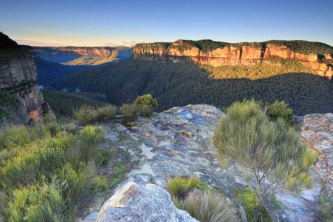 Blue Mountains Highlights, Wildlife Park and Scenic World Full Day Private Tour - Blue Mountains National Park walk: what a guided stroll adds