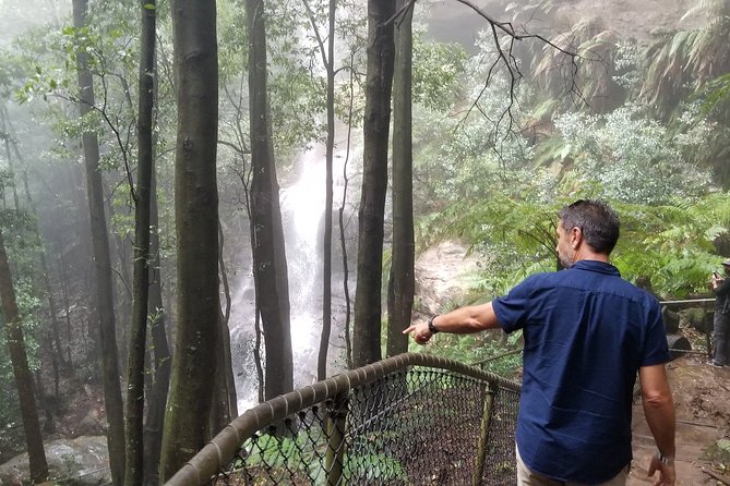 Blue Mountains Highlights, Wildlife Park and Scenic World Full Day Private Tour - The guide and private vehicle factor: why this feels smoother
