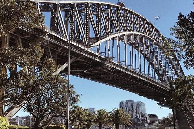Blue Mountains In a Day:Private Day Trip From Sydney - Featherdale Wildlife Park: close encounters with Australian animals