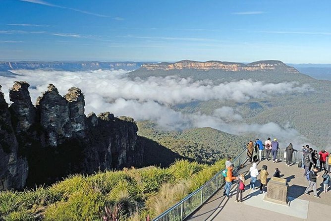 Blue Mountains | Koalas, Kangaroos & Bondi Beach Private Tour - Key things that make this tour worth your time