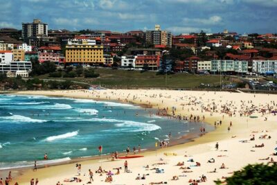 Blue Mountains | Koalas, Kangaroos & Bondi Beach Private Tour - The ride from Sydney: comfort that reduces decision fatigue