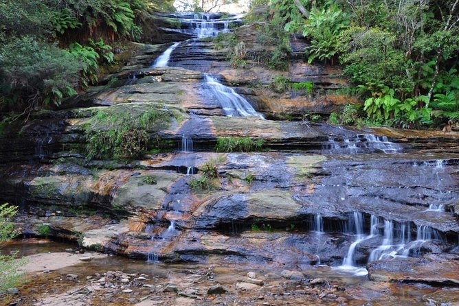 Blue Mountains | Koalas, Kangaroos & Bondi Beach Private Tour - Featherdale Sydney Wildlife Park: the animal hour you’ll remember